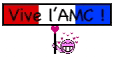 amerclass _vivamc_