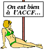 onestbien :bien: